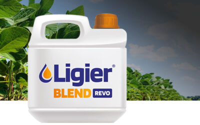 Blend Revo