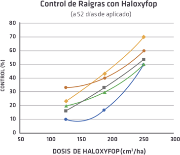 control raigras haloxyfop