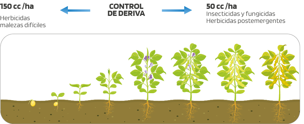 PENETRACIÓN EN TEJIDO VEGETAL