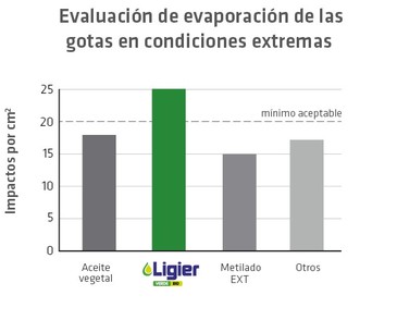 evaluación 